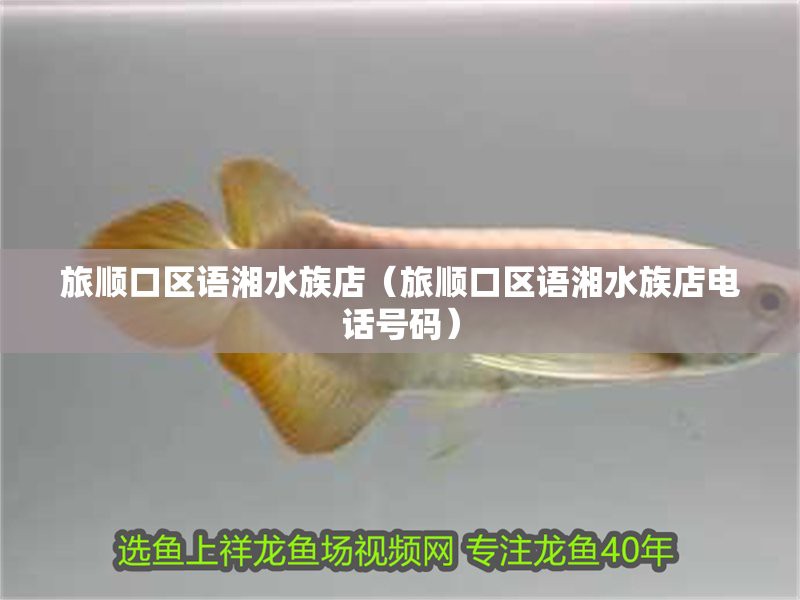旅順口龍魚店，大連旅順口區語湘水族店