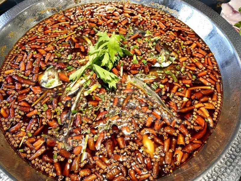 湄潭龍魚店，湄潭縣林龍魚村是否還在營業 湄潭龍魚店，湄潭縣林龍魚村是否還在營業 全國水族館企業名錄 第1張