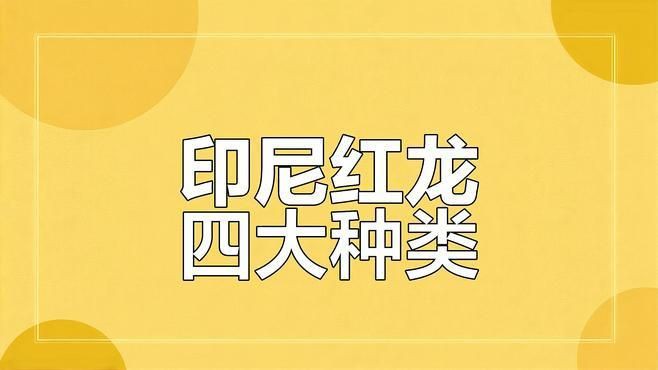 紅龍品種分類，紅龍魚品種大揭秘:辣椒、血紅與橙紅龍的差異與特征 紅龍品種分類，紅龍魚品種大揭秘:辣椒、血紅與橙紅龍的差異與特征 龍魚百科 第3張