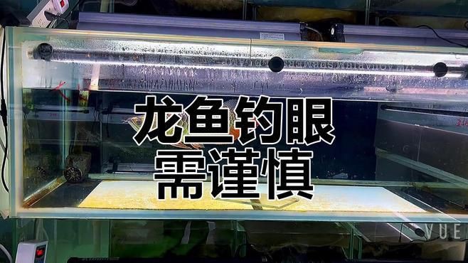 紅龍魚掉眼手術風險大嗎？，紅龍魚掉眼手術存在較高風險屬于精密且復雜的操作