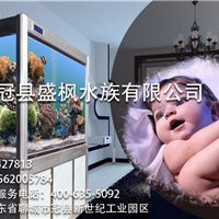 聊城水族店，聊城東昌府區(qū)彩魚水族館愛企查聊城水族批發(fā)市場在哪里