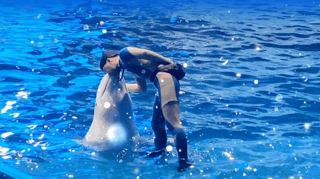 福州水族店，福州擁有多家特色水族店為市民提供了豐富的觀賞魚及水族用品選擇