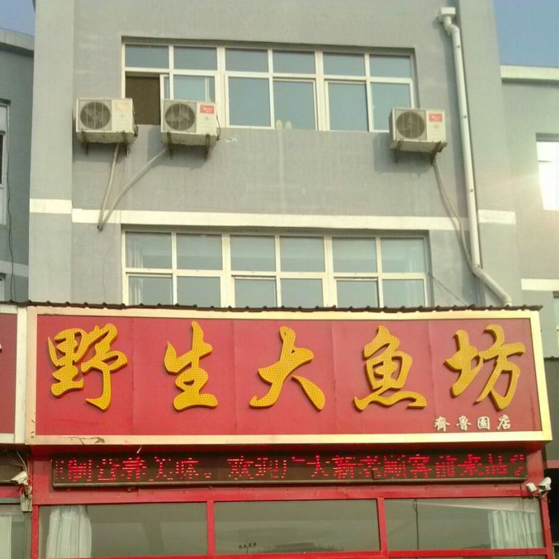 臨沂龍魚店，臨沂龍魚面館