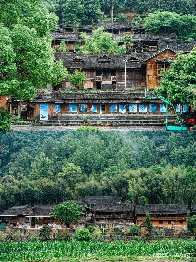 獨山水族店，獨山縣有哪些與水族相關的文旅項目