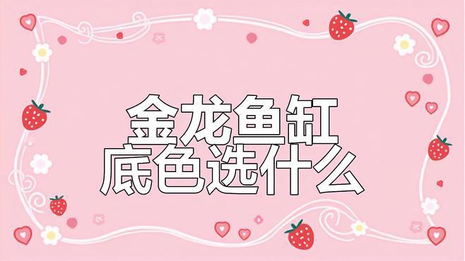 養(yǎng)金龍魚缸底用黑色還是白色，《金龍魚缸底色會用黑色還是白底白背景飼養(yǎng)會使古典金龍魚發(fā)色的選擇
