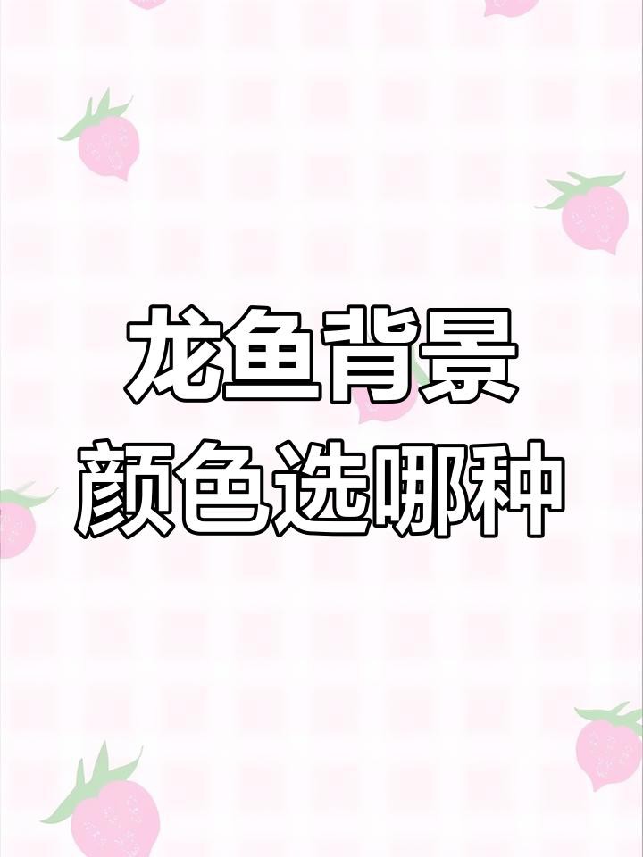 養(yǎng)金龍魚缸底用黑色還是白色，《金龍魚缸底色會用黑色還是白底白背景飼養(yǎng)會使古典金龍魚發(fā)色的選擇