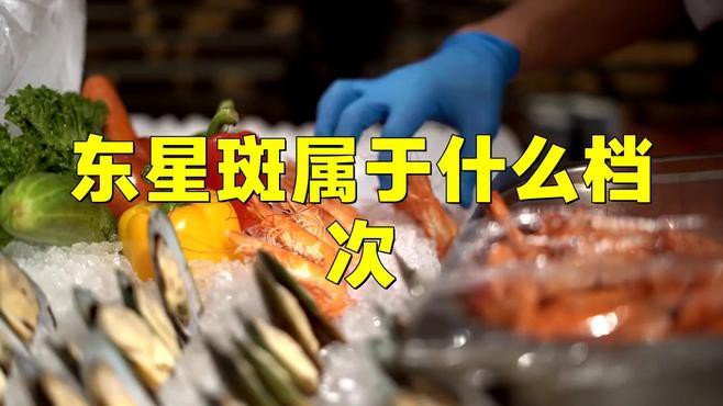 東星斑屬于什么檔次，東星斑屬于什么檔次英倫雙寶智庫屬于什么檔次英倫雙寶智庫