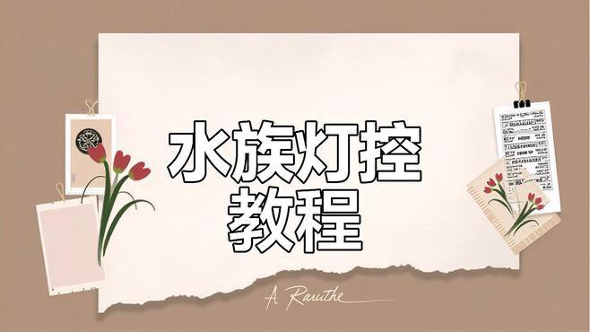 如何設置龍魚的光照定時器？，如何設置龍魚光照定時器 如何設置龍魚的光照定時器？，如何設置龍魚光照定時器 龍魚百科 第4張