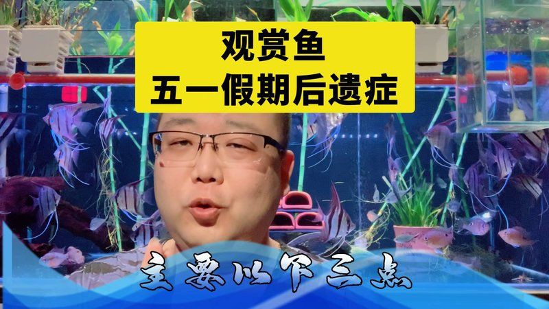 綠皮皇冠魚為何要少吃，綠皮皇冠魚對身體有哪些危害？