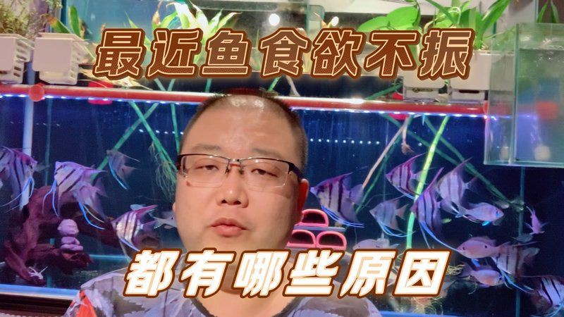 綠皮皇冠魚為何要少吃，綠皮皇冠魚對身體有哪些危害？
