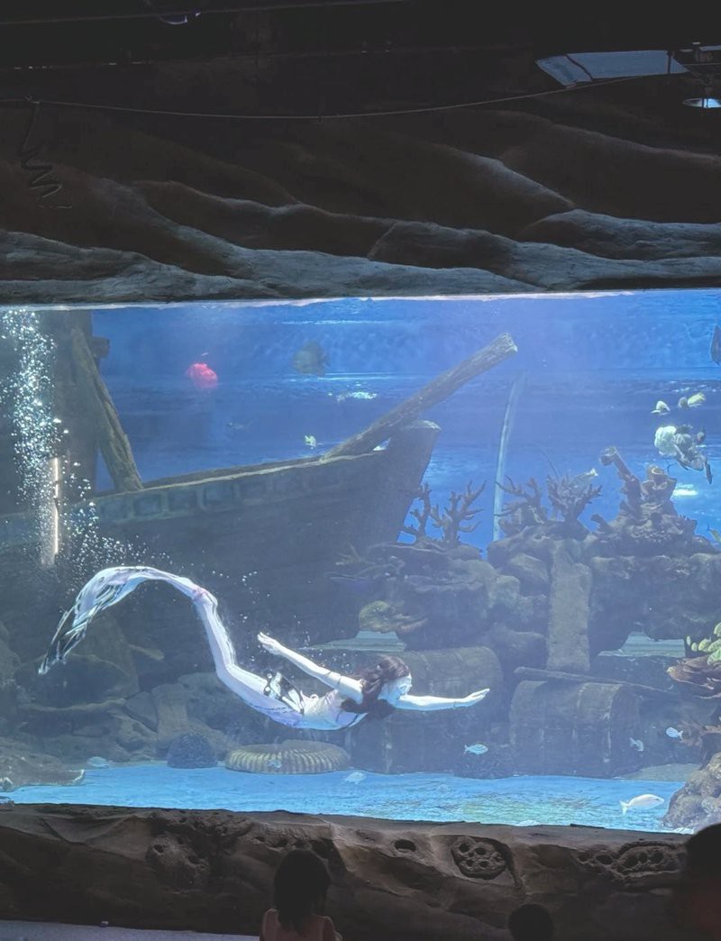呼和浩特水族店，呼和浩特哪家水族店口碑最好 呼和浩特水族店，呼和浩特哪家水族店口碑最好 全國水族館企業(yè)名錄 第6張