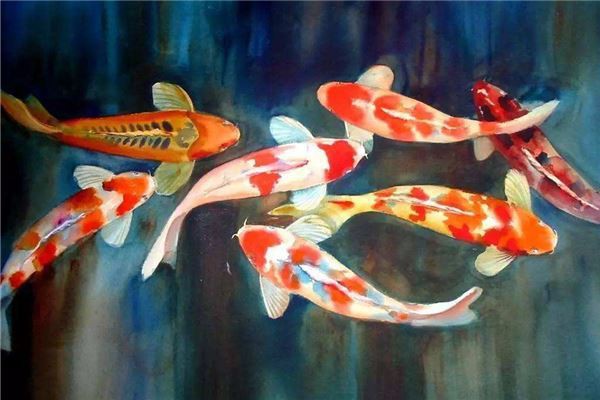 五條魚(yú)的風(fēng)水寓意，五條魚(yú)的傳統(tǒng)文化與風(fēng)水學(xué)