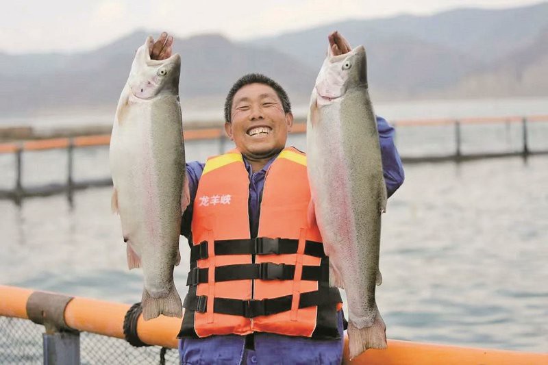 茫崖龍魚店，茫崖龍魚店何時開業