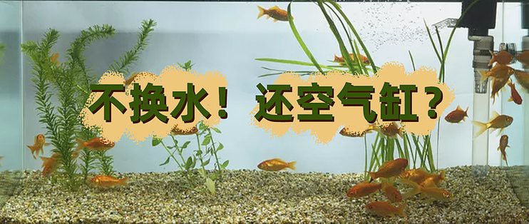 農村濾材100種清單，農村實用濾材百種全攻略