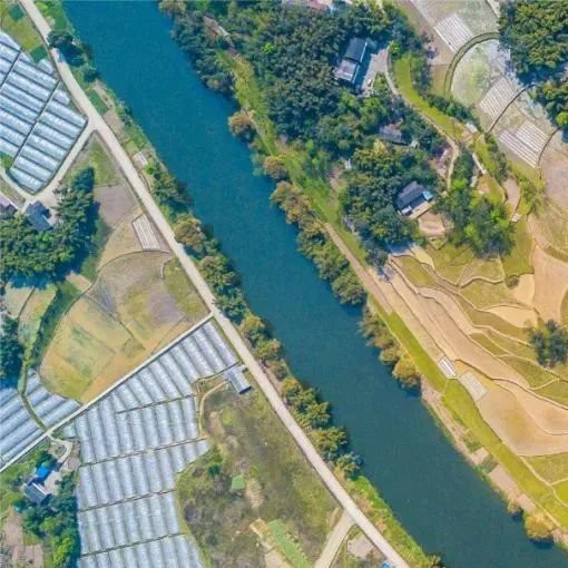 梁平龍魚店，梁平龍魚店哪家口碑最好