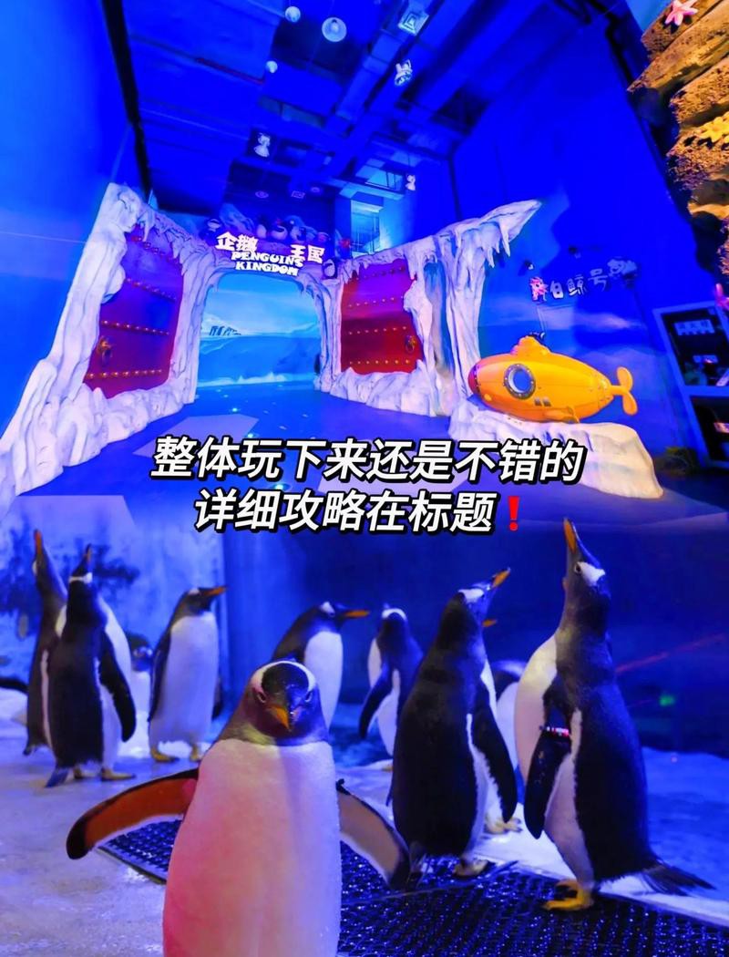 <strong><mark>淮安</mark></strong>區水族店，<strong><mark>淮安</mark></strong>區水族店是當地寵物與觀賞魚愛好者的重要聚集地