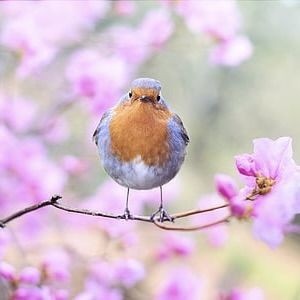 紅龍魚突然不吃東西，《紅龍魚突然7,換水不吃東西》當飼養(yǎng)紅龍魚突然不吃東西 紅龍魚突然不吃東西，《紅龍魚突然7,換水不吃東西》當飼養(yǎng)紅龍魚突然不吃東西 龍魚百科 第6張