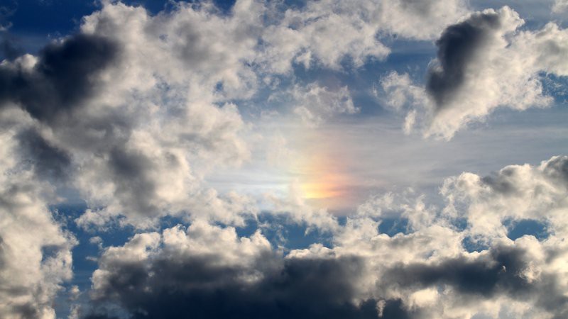 十大最強(qiáng)的恐龍排名，十大最強(qiáng)恐龍——霸王龍（tyrannosaurusrex） 十大最強(qiáng)的恐龍排名，十大最強(qiáng)恐龍——霸王龍（tyrannosaurusrex） 龍魚(yú)論壇 第1張