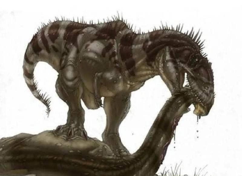 十大最強(qiáng)的恐龍排名，十大最強(qiáng)恐龍——霸王龍（tyrannosaurusrex） 十大最強(qiáng)的恐龍排名，十大最強(qiáng)恐龍——霸王龍（tyrannosaurusrex） 龍魚(yú)論壇 第4張