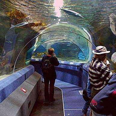 國家水族館名錄查詢最新消息，全球主要國家水族館最新信息匯總