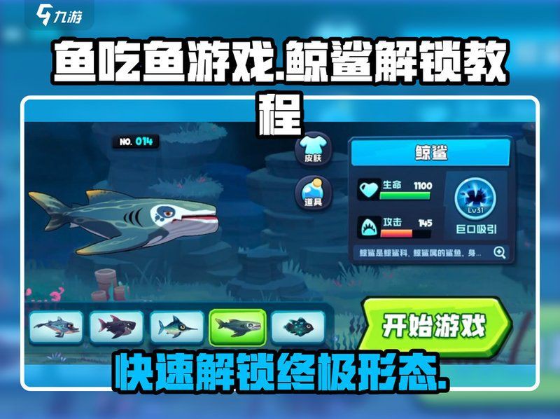 看魚吃魚從1級到80級，《看魚吃魚》從1級到80級成長攻略魚吃魚攻略大全