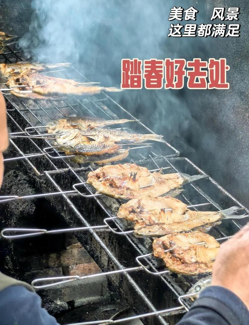 滎經龍魚店，滎經縣有龍魚專賣店嗎 滎經龍魚店，滎經縣有龍魚專賣店嗎 全國水族館企業名錄 第1張