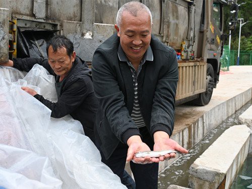 滎經龍魚店，滎經縣有龍魚專賣店嗎 滎經龍魚店，滎經縣有龍魚專賣店嗎 全國水族館企業名錄 第2張