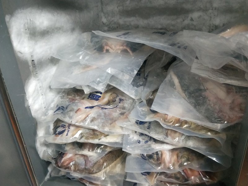 瑯琊龍魚店，廣州瑯琊龍魚店有哪些特色品種能否分享一些龍魚養殖技巧
