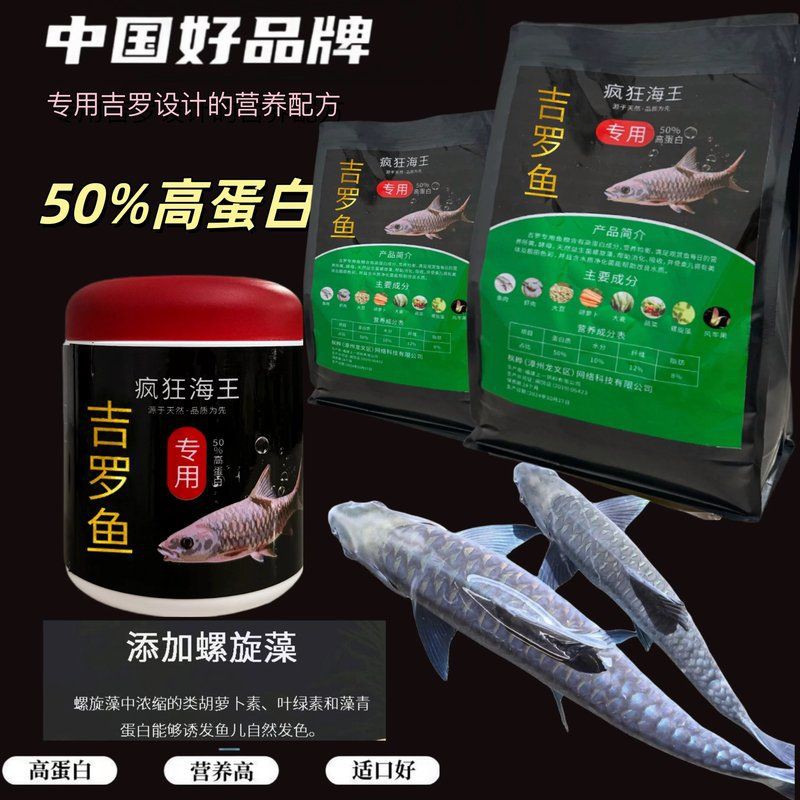 綠皮皇冠豹繁殖的三個階段，波奇寵物網，秘魯綠皮皇冠豹 綠皮皇冠豹繁殖的三個階段，波奇寵物網，秘魯綠皮皇冠豹 龍魚百科 第4張