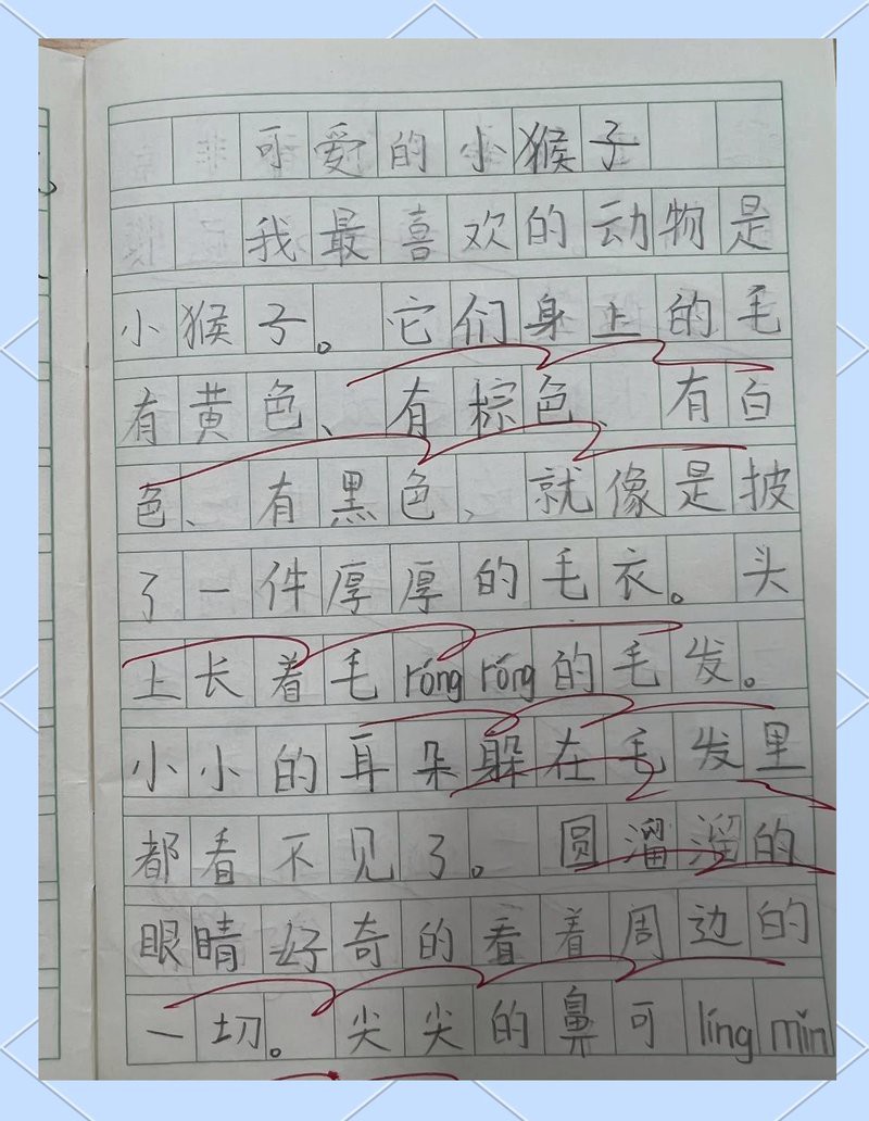 動物園大全500種動物，《動物園大全500種動物》