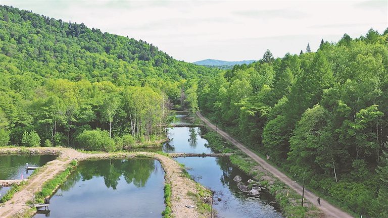 積石山龍魚店，濰坊積石山龍魚店有哪些特色產品