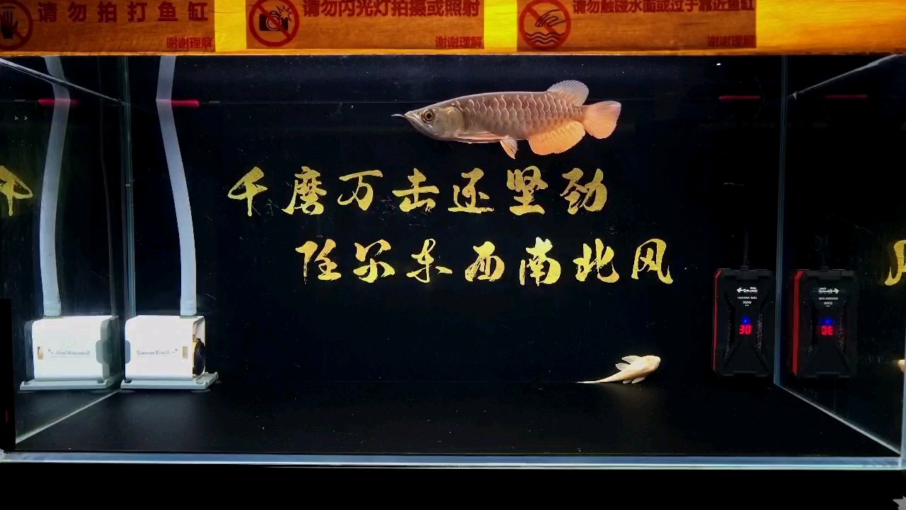 好看，22-23公分左右，22-23公分左右特定描述