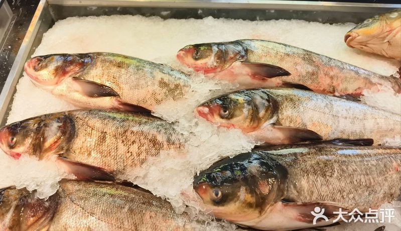 德城龍魚店，德城龍魚店的具體地址在哪里