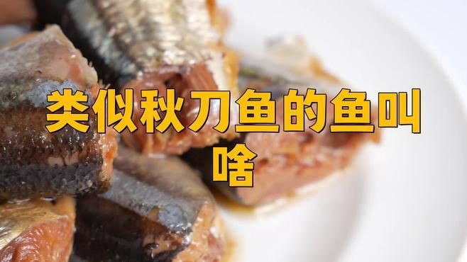 類似刀魚的魚有哪些，長得像刀魚但是不是刀魚 類似刀魚的魚有哪些，長得像刀魚但是不是刀魚 龍魚百科 第3張