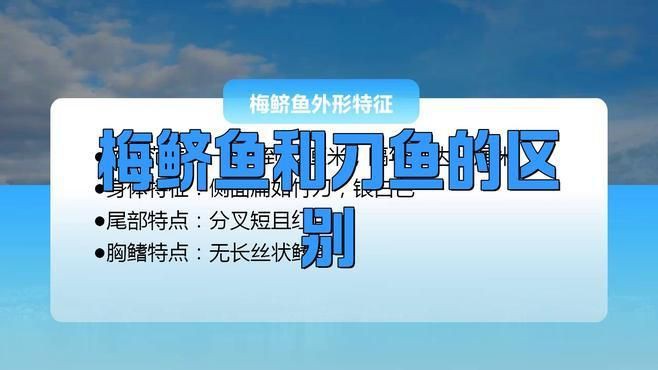 類似刀魚的魚有哪些，長得像刀魚但是不是刀魚 類似刀魚的魚有哪些，長得像刀魚但是不是刀魚 龍魚百科 第2張