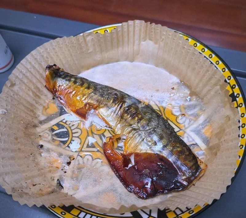 類似刀魚的魚有哪些，長得像刀魚但是不是刀魚 類似刀魚的魚有哪些，長得像刀魚但是不是刀魚 龍魚百科 第4張