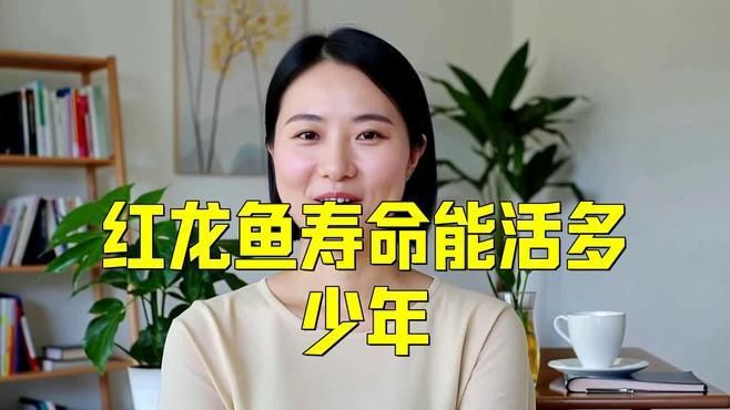 紅龍魚壽命一般多長(zhǎng)？，紅龍魚壽命有這么久,而在你手里卻沒活過一個(gè)月,扎心了