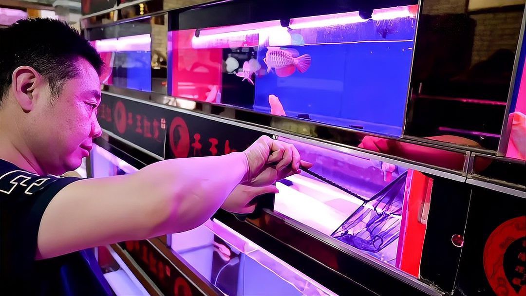 開江龍魚店，《開江龍魚店》開江龍魚店在當地頗具特色，裝修風格獨特