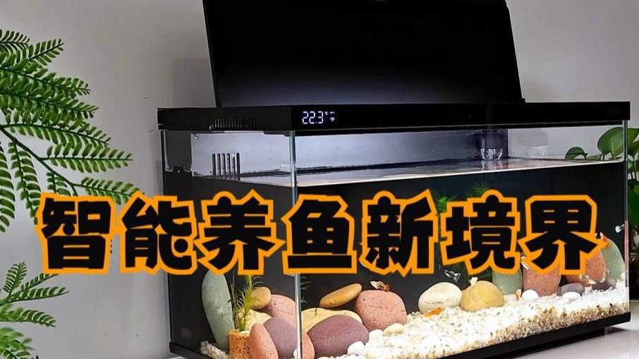 口碑最好的魚缸，《口碑最好的魚缸》口碑最好的魚缸品牌十大排名旭日東升