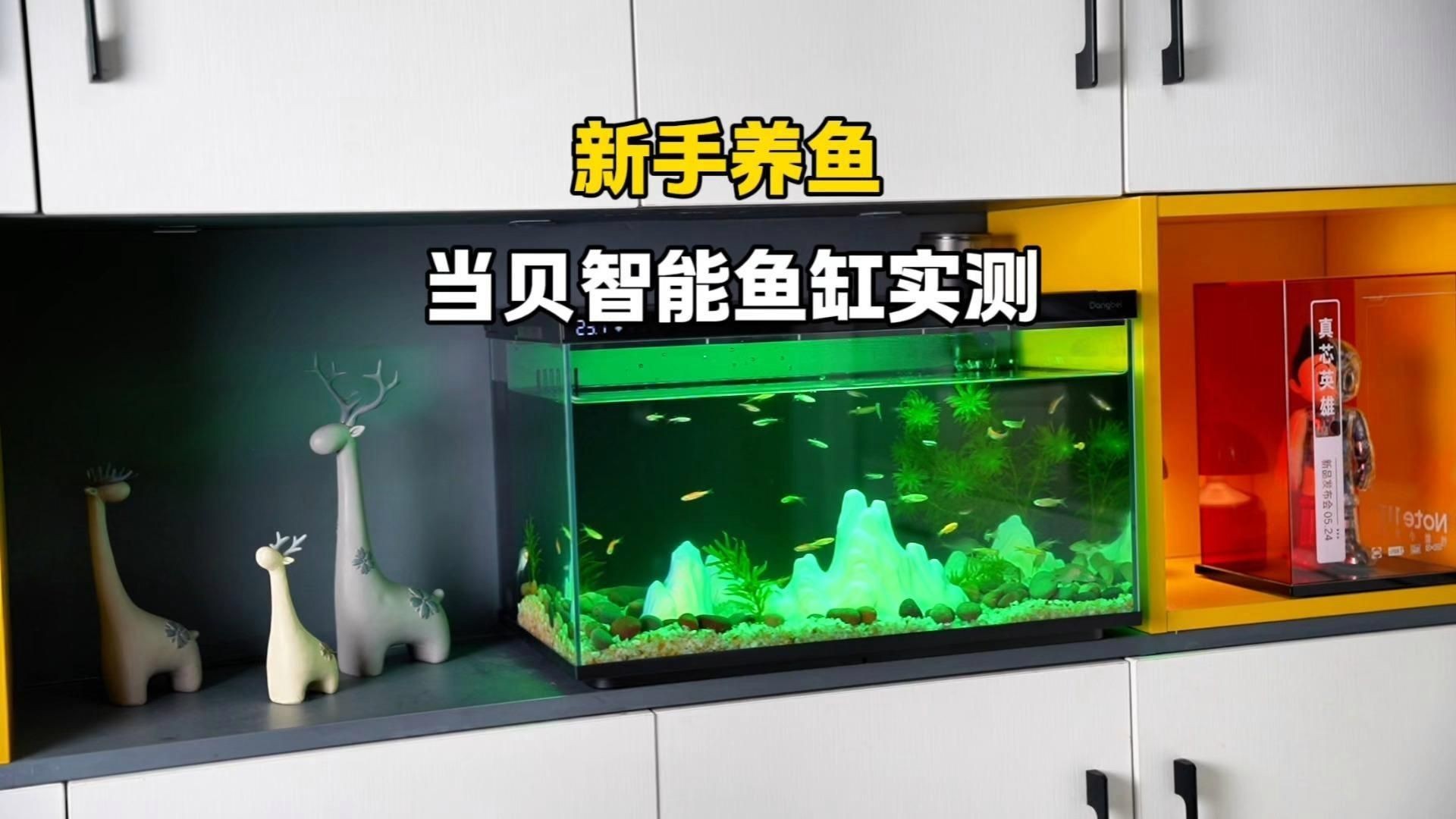口碑最好的魚缸，《口碑最好的魚缸》口碑最好的魚缸品牌十大排名旭日東升
