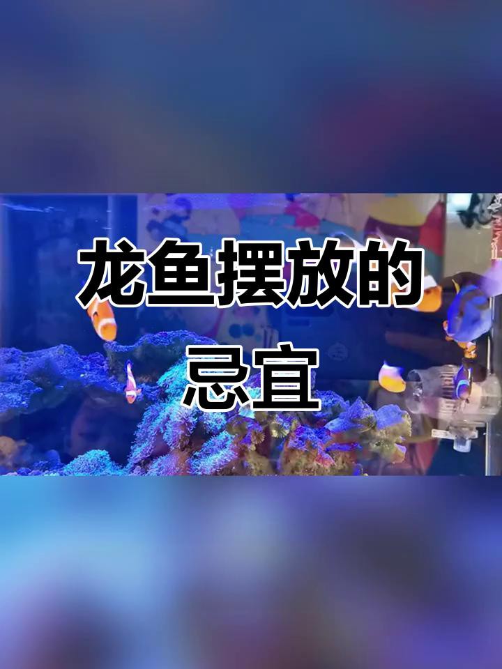 養龍魚需要注意哪些風水禁忌？，養龍魚的風水禁忌 養龍魚需要注意哪些風水禁忌？，養龍魚的風水禁忌 龍魚論壇 第5張