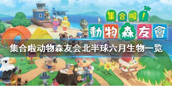 動森食人魚價格，《動物森友會》食人魚價值探析《動物森友會》食人魚價值探析