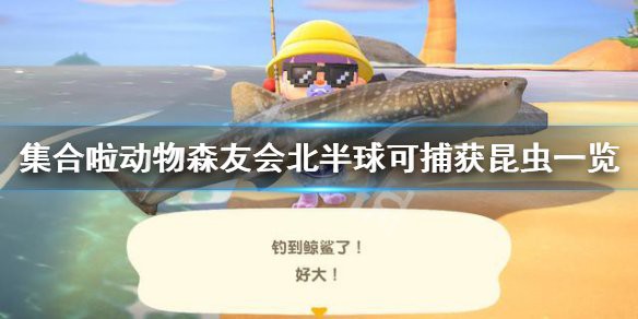 動森食人魚價格，《動物森友會》食人魚價值探析《動物森友會》食人魚價值探析