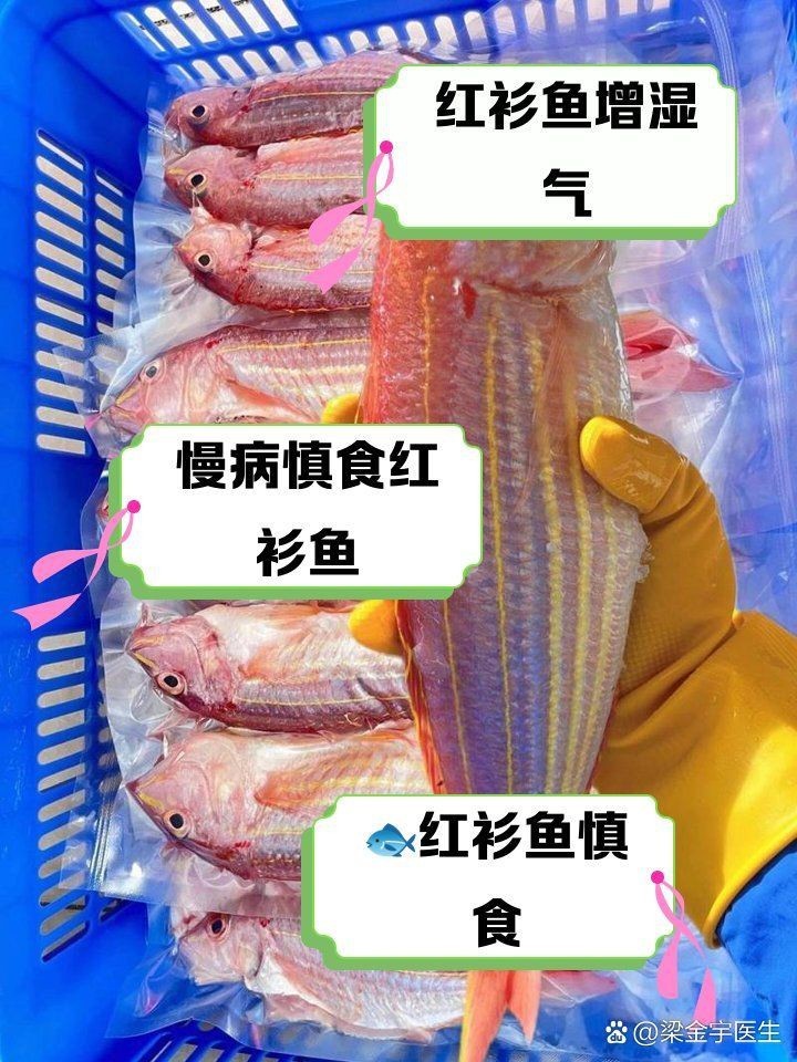 紅杉魚盡量少吃的原因，吃紅杉魚有哪些禁忌？