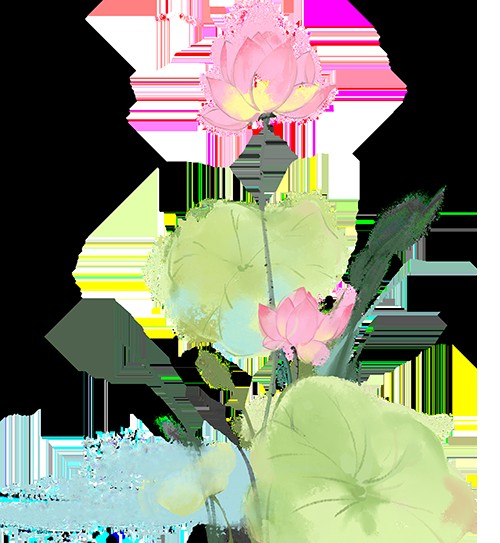 如何區分真假50元龍魚？，如何區分真假50元人民幣