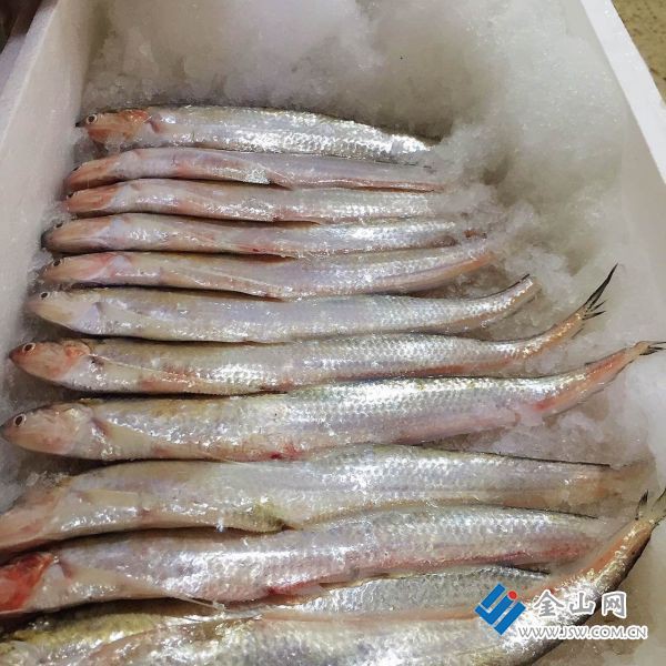 刀魚價格表2025，2018年8月刀魚市場價格趨勢分析