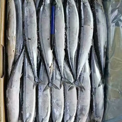 刀魚價格表2025，2018年8月刀魚市場價格趨勢分析