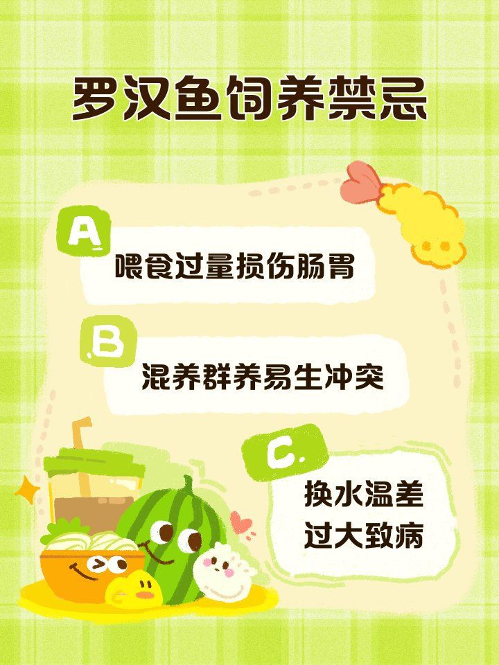 羅漢魚最忌諱三個地方，《羅漢魚最忌諱三個地方》聚焦于羅漢魚養護中的關鍵區域