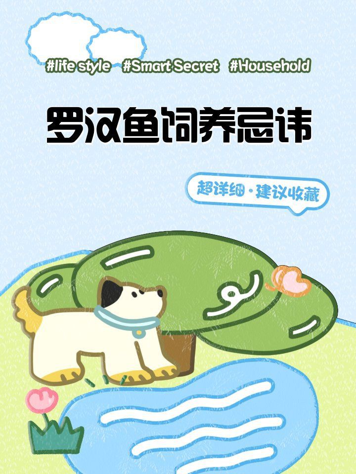 羅漢魚最忌諱三個地方，《羅漢魚最忌諱三個地方》聚焦于羅漢魚養護中的關鍵區域