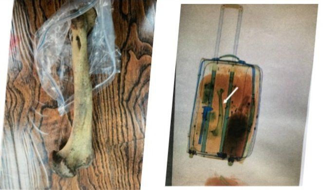 緬甸有老虎骨頭怎么賣，山西晚報,緬甸野生動物交易揭秘,低廉價格吸引食客品嘗微光拾趣